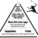 The Paleo Diet - Basic Guidelines to Follow (2023)