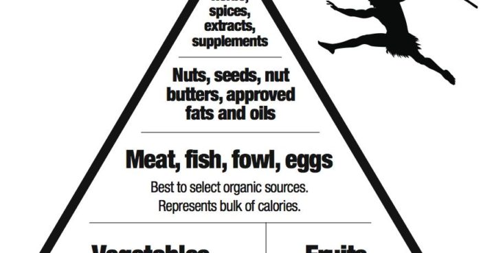 The Paleo Diet - Basic Guidelines to Follow (2021)
