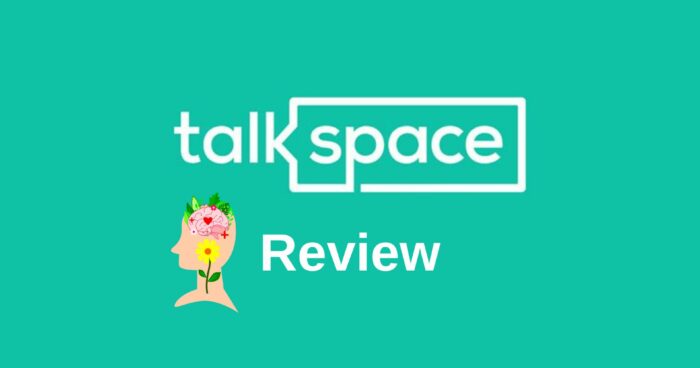 Talkspace Review