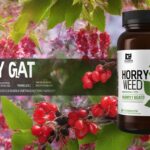 Zhou Nutrition Horny Goat Weed Review ([year]) - Side Effects & Ingredients